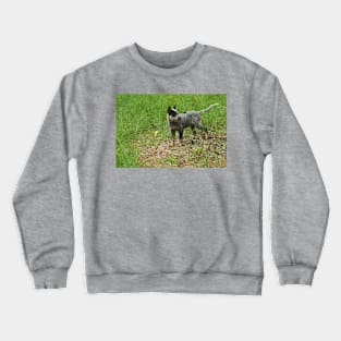 Kla investigating Crewneck Sweatshirt